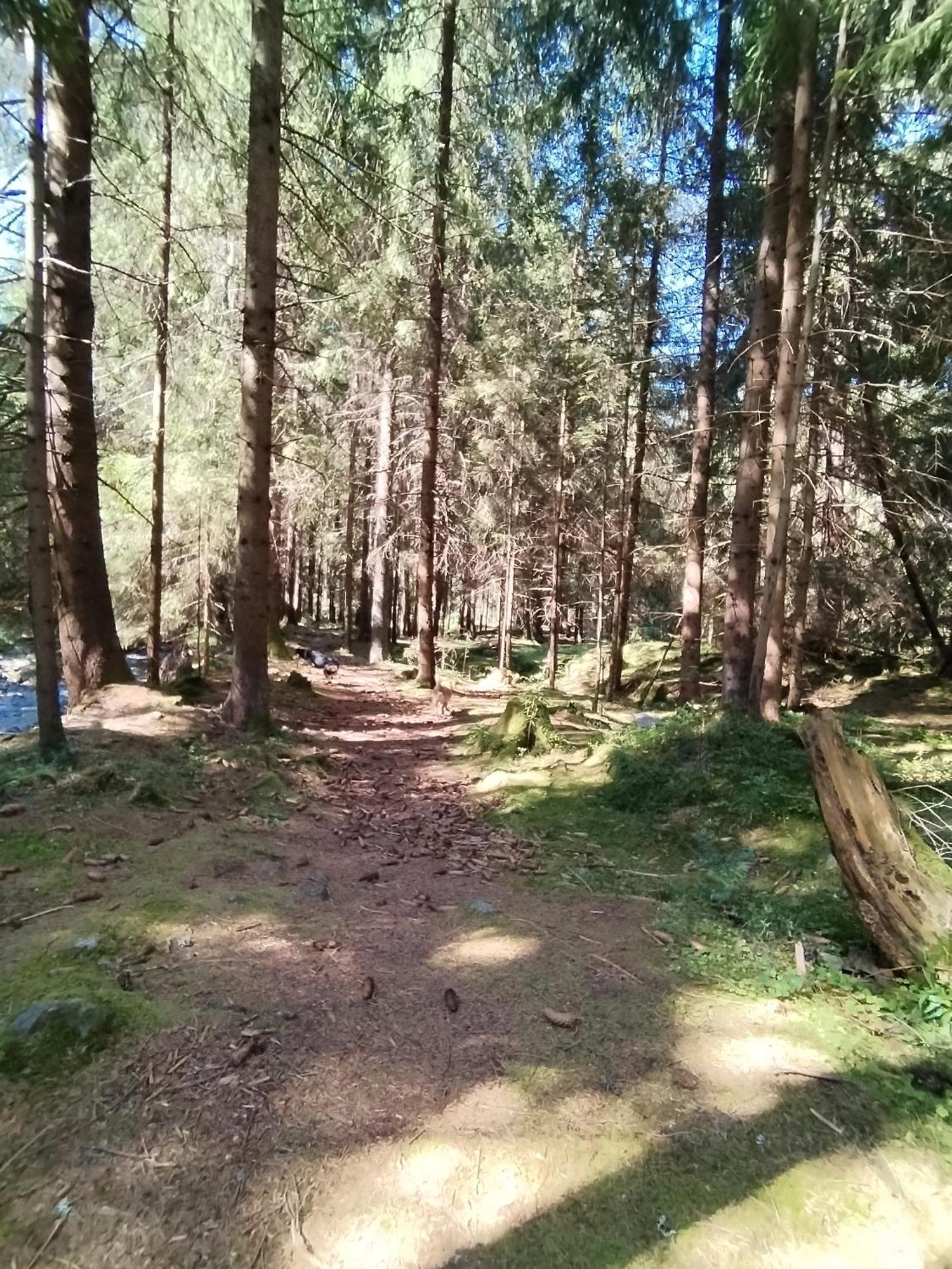 Penzion Real Žiar Buitenkant foto