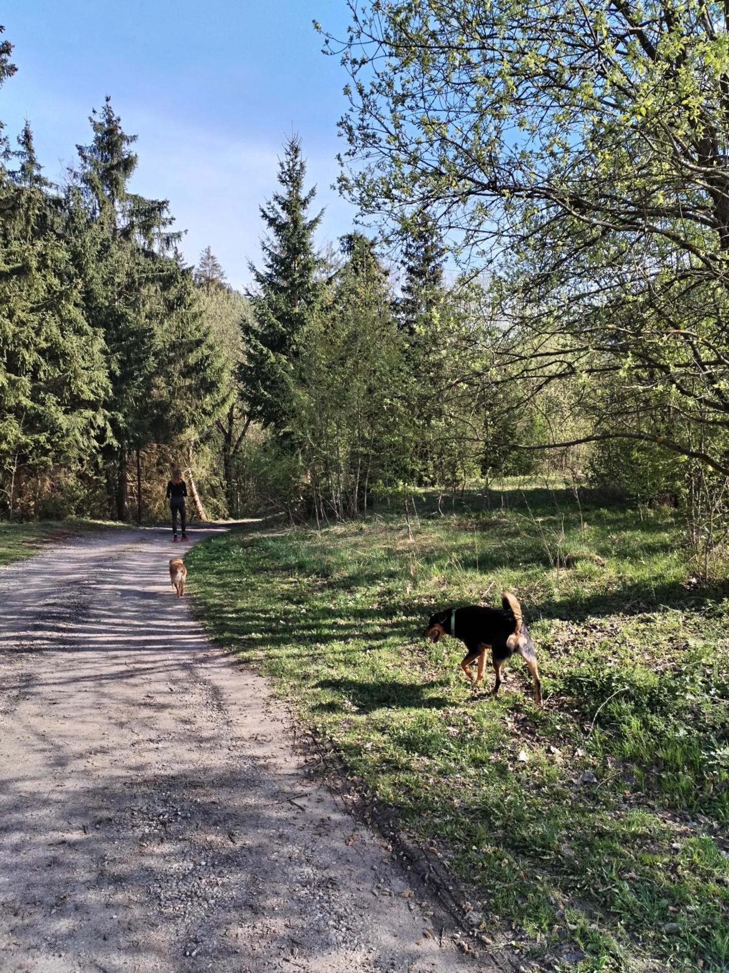 Penzion Real Žiar Buitenkant foto