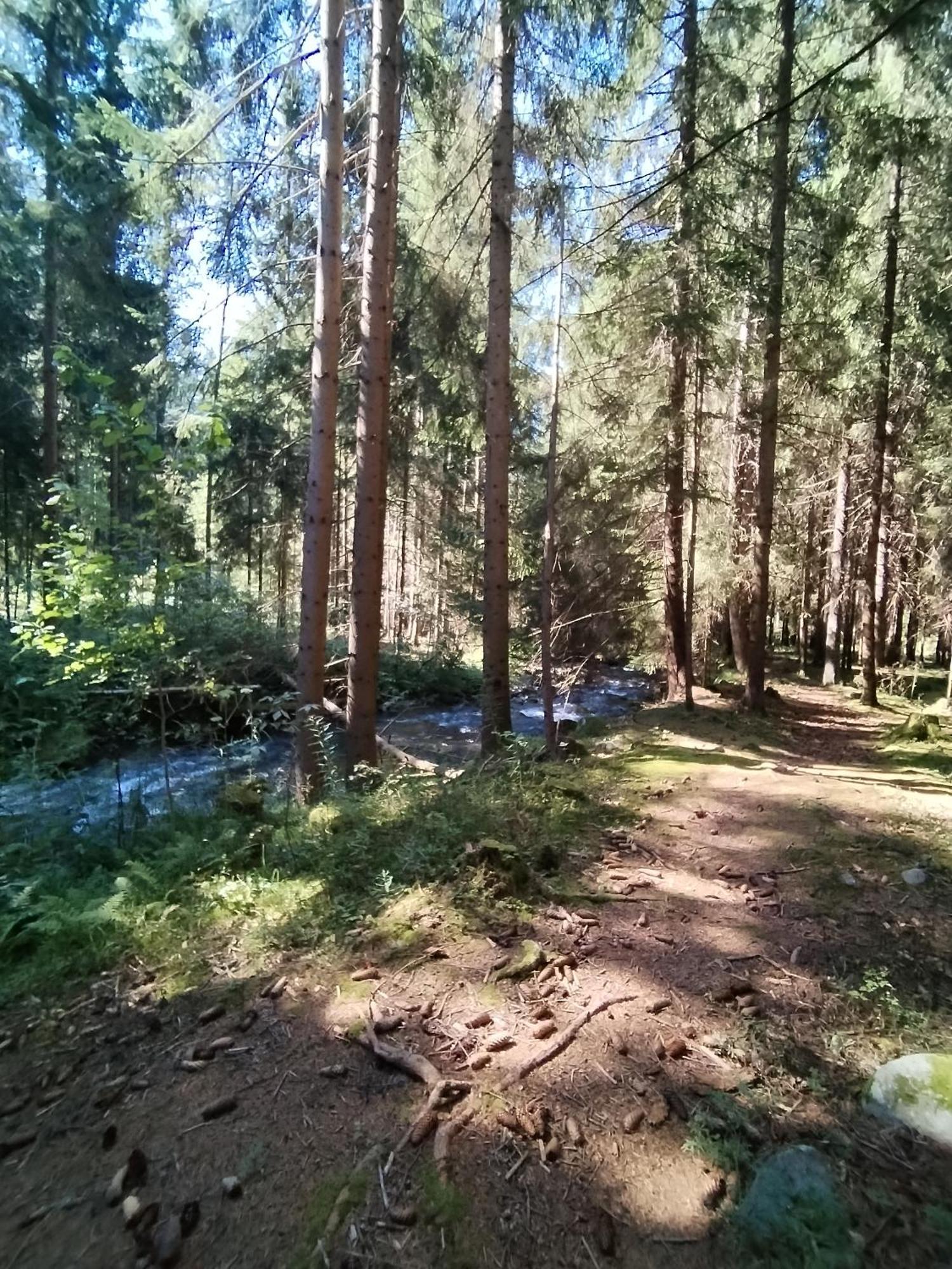 Penzion Real Žiar Buitenkant foto